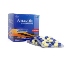 Amoxicillin Capsules BP 250 mg ( Blister )